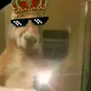 Luis Moreta - @luis.moreta51 - TikTok
