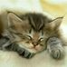 Luis Moreta - Facebook
