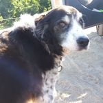 Luismurphy - @luismurphy60 - Instagram