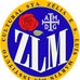 Instituto Cultural Santa Zélia e São Luis Martin - Nova página - Facebook