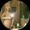 Luis_nova - @luis_nova25 - TikTok