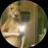 Luis Nova - @luis.nova30 - TikTok