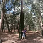 Luis Noya - @noya7950 - Instagram