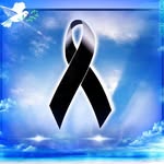 Luis Olave - @luis.olave.9883 - Instagram