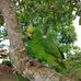 Luis Olave - Facebook