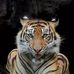 Luis Ong - Facebook