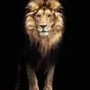 Luis Urdiales - @luis.urdiales73 - TikTok