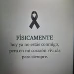 Luis Orduño - @luis429346 - Instagram