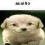 Luis Orellano - Facebook