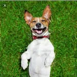 Luis Orellano - @luis.orellano.1690 - Instagram