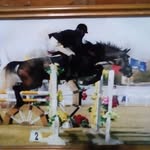 Luis orellano - @equitacion_luis_orellano - Instagram