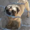 luisorendain765 - @luisorendain765 - TikTok
