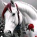 Luis Orlando Velez - Facebook
