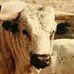 José Luis Osborne III - @joseluisosborneiii - Instagram