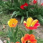 Luis Osegueda - @luis.osegueda.90 - Instagram