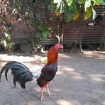 Luis Osegueda - Facebook