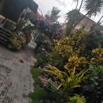 Luis Osegueda - @luis.osegueda.3 - Instagram