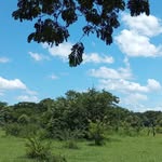 Luis Rubén Osegueda Matarrita - @chotty_jr - Instagram