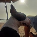 LUIS OTINIANO - @luisotiniano23 - Instagram