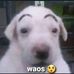Luis Paco - Facebook
