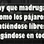 Luis Paco Arispedes Mayor - @arispedesmayor - Instagram