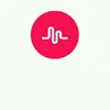 ana luisa padovani - @luisapadovani - TikTok