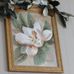 Luis Painter - Facebook