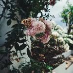 Luis Painter - @dasmamitzia - Instagram