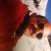 Luis Paiz - Facebook