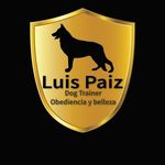 Luis Paiz - @luispdogtrainer - Instagram