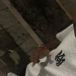 Luis Pajaro - @luis_pajaro01 - Instagram