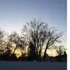 Very Old Account - @luispajaro7 - TikTok