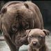 Luis Palacio - Facebook