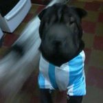 Gustavo Luis Palomeque - @gustavopalomeque - Instagram