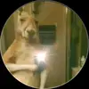 luis palomo - @luis.palomo44 - TikTok
