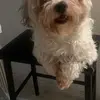 luispando69 - @luispando69 - TikTok