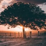 Luis A Panora - @lpanora74 - Instagram