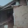 Luispanora5 - @luispanora5 - TikTok