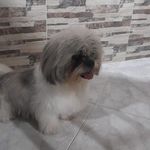 Luis Parrado Ortiz - @luisalexanderparradoortiz - Instagram