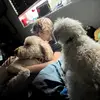 lui - @.luispastor - TikTok