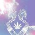 Luis Pech - Facebook