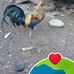 Luis Pecina - Facebook