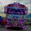Luis Ramirez - @luispenate141 - TikTok