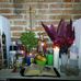 Luis Perez - Facebook