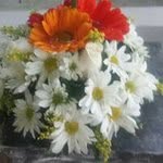 Floristeria PaloVerde Blis - @luis.pineros - Instagram