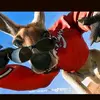 lucho 💱@Viral#$ - @luis.fernando.pla13 - TikTok