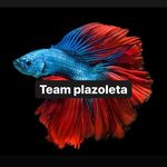 Team plazoleta 🏆 - @luis_plazoleta - Instagram