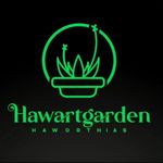 Luis Poma - @hawartgarden - Instagram