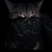 Luis Poma - Facebook
