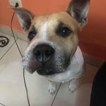 Luis Puerto - @lpuerto1 - Instagram